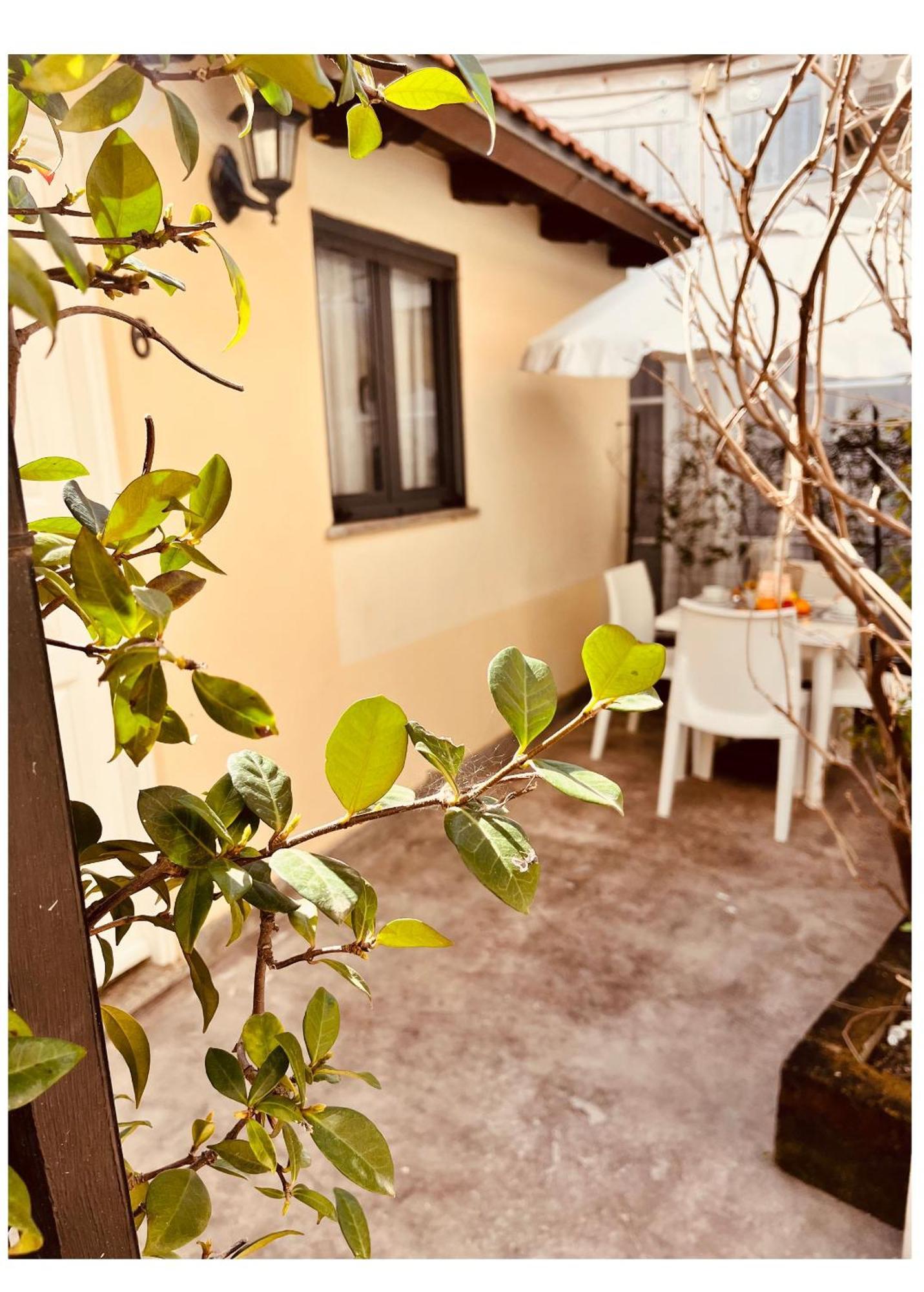 Hotel La Torraccia Tarquinia Εξωτερικό φωτογραφία